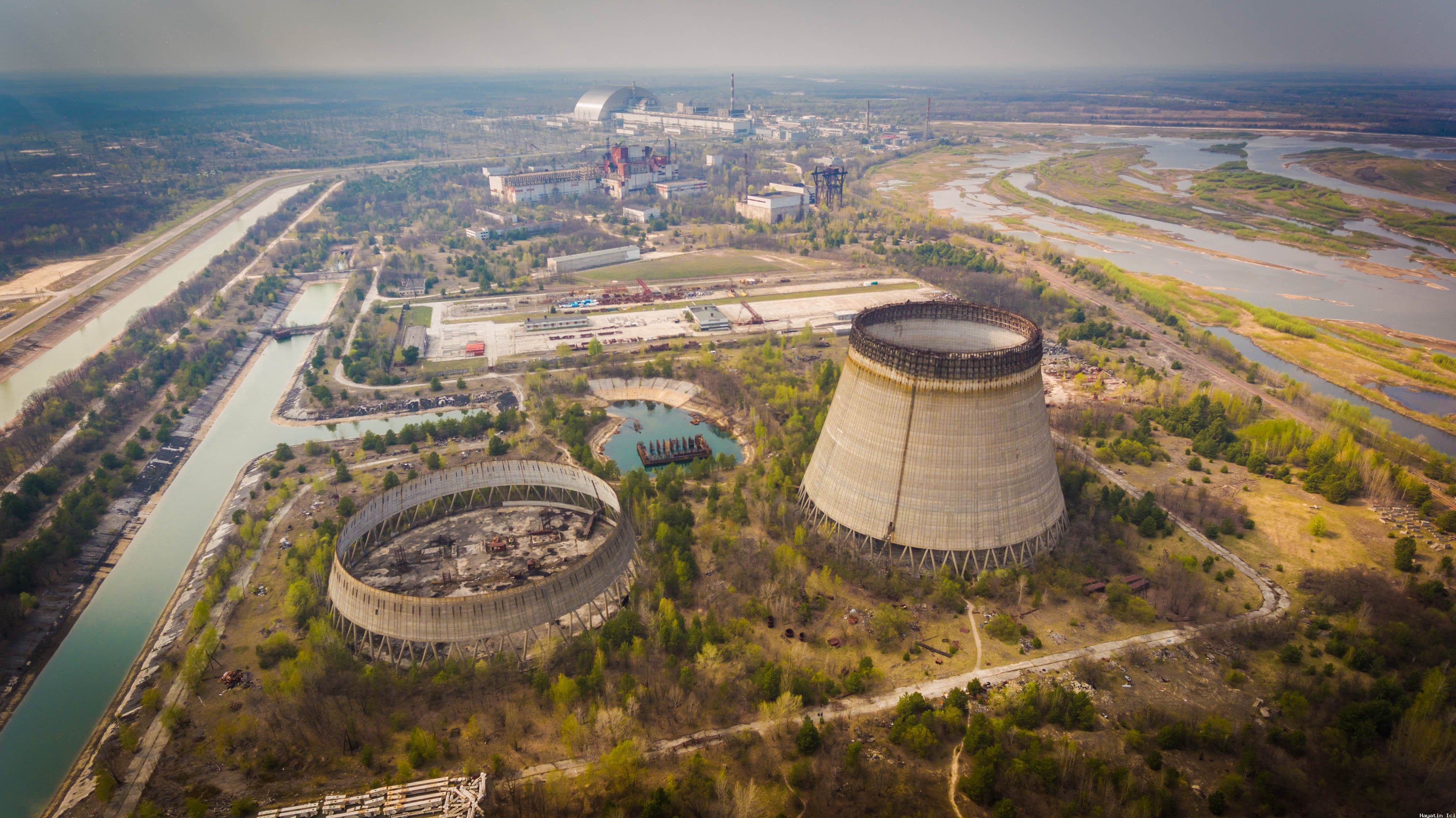 Çernobil radyasyonunun genetik etkileri
