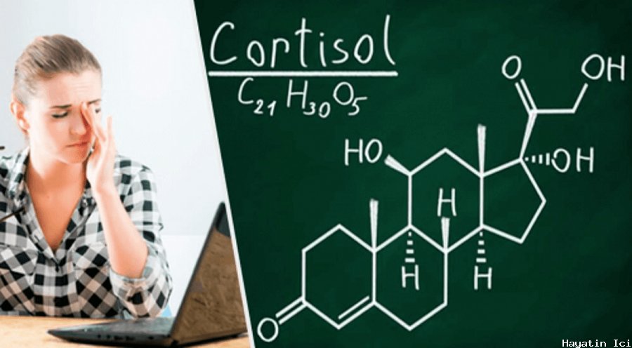 Kortizon ( Stres Hormonu ) Nedir, Tedavi Yöntemleri ve Yan Etkileri