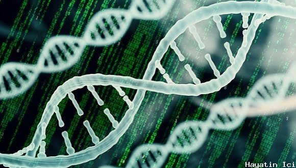 DNA Hakkında Gerçekler