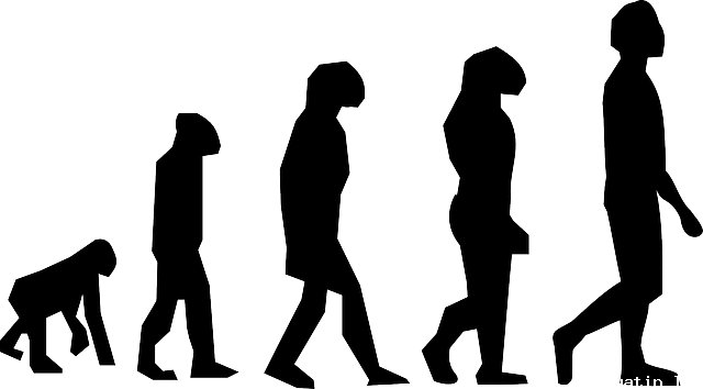 Darwin'in Evrim Teorisi Nedir?