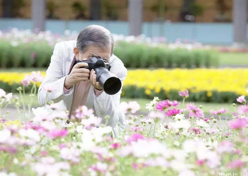 Makro Fotoğrafçılığa Yeni Başlayanlar İçin Rehber