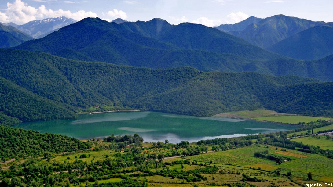 Kafkas Arnavutluk Balkan Arnavutlarının ataları?