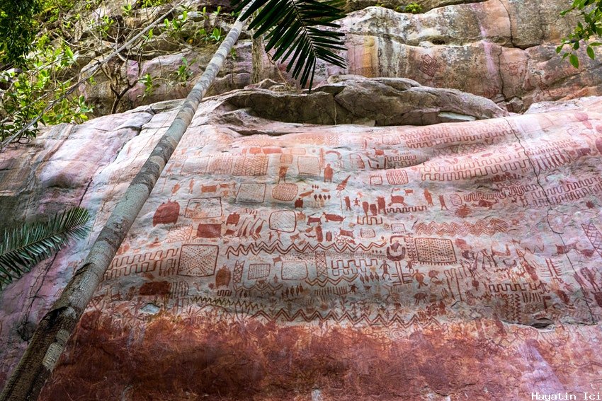 Kolombiyalı tarih öncesi kaya sanatı 'Kadimlerin Sistine Şapeli' olarak selamlandı