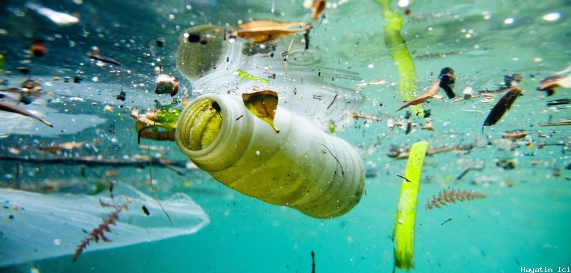 Raporlara Göre Plastikler İnsan Sağlığına Tehdit Oluşturuyor
