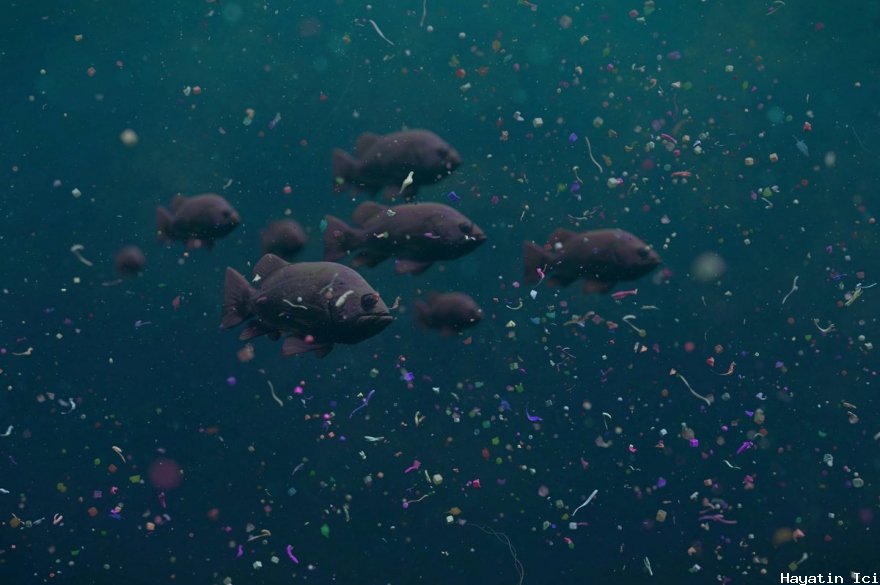 Biyonik robo-balık,  denizleri ve okyanusları plastik parçacıklardan temizleyecek
