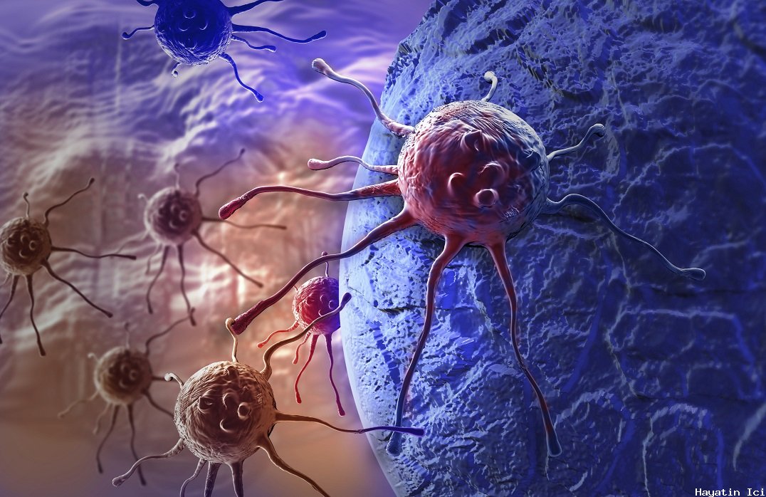 Anti-ishal ilacı kanser hücrelerini hücre ölümüne sürüklüyor