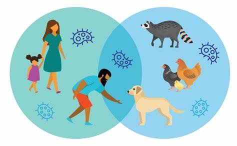 Zoonotik Hastalıklar: Hastalıklar Hayvanlardan İnsanlara Nasıl Yayılır?