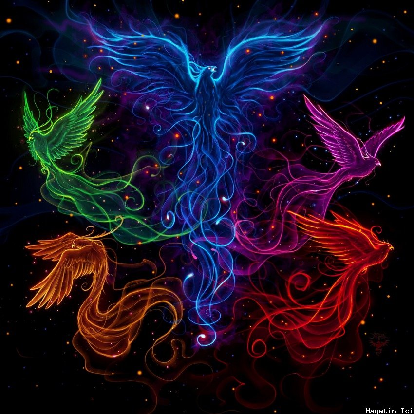 Anka (Phoenix) Kuşu Mitolojisi, Anlamları ve Sembolizmi
