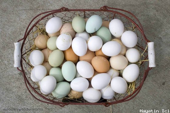 Kahverengi Yumurtalar Beyaz Yumurtalardan Daha mı Sağlıklı?