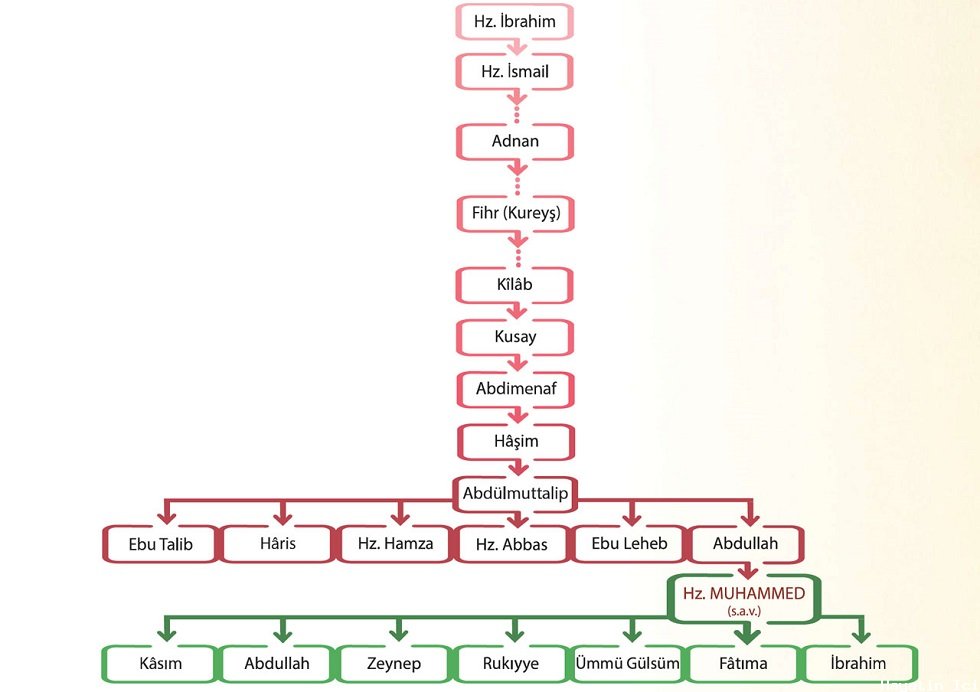 Peygamber Efendimiz ( Sallâllâhu Aleyhi ve Sellem )in Şecere-i Nesebi ( Soyağacı )