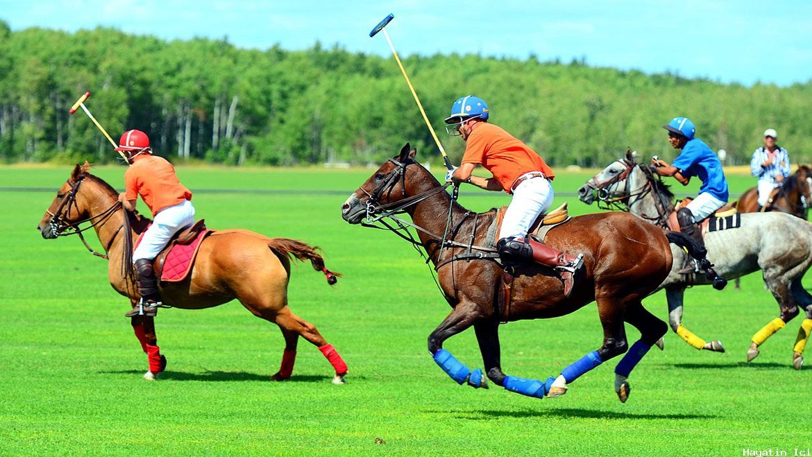 Geçmişten Günümüze Polo Sporu