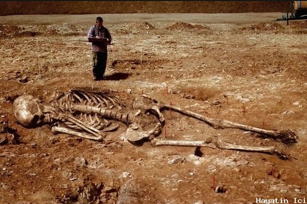 Dev Bir Gizem: Wisconsin'de Bulunan Büyük İskeletler